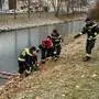 Die Rettung Eingebrochener trainiert auch die Berufsfeuerwehr