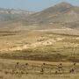 Keine Entspannung im umkämpften Gebiet in Berg Karabach