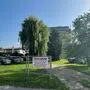 Auf diesem Gartengrundstück sollen Parkplätze entstehen. Die alte Trauerweide soll dafür weichen