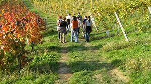 Die höchste touristische Relevanz in der Südsteiermark haben wenig überraschend die großen Weinbaugemeinden 