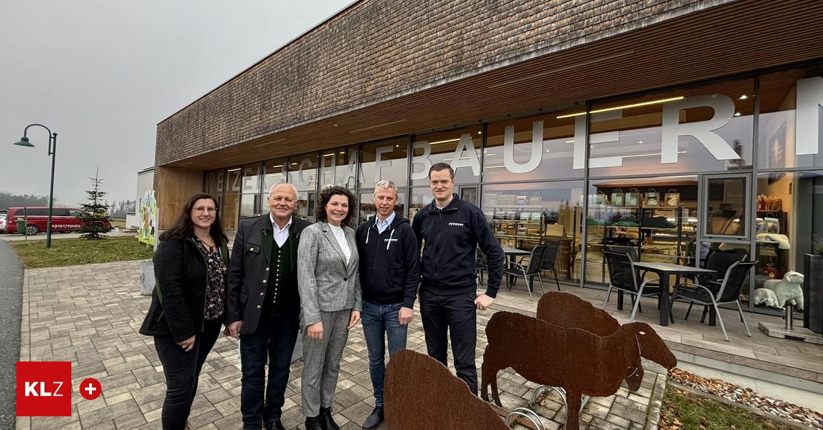 Steigende-Kosten-weniger-Zulieferer-Weizer-Schafbauern-machen-k-nftig-mit-Fleischhof-Raabtal-gemeinsame-Sache