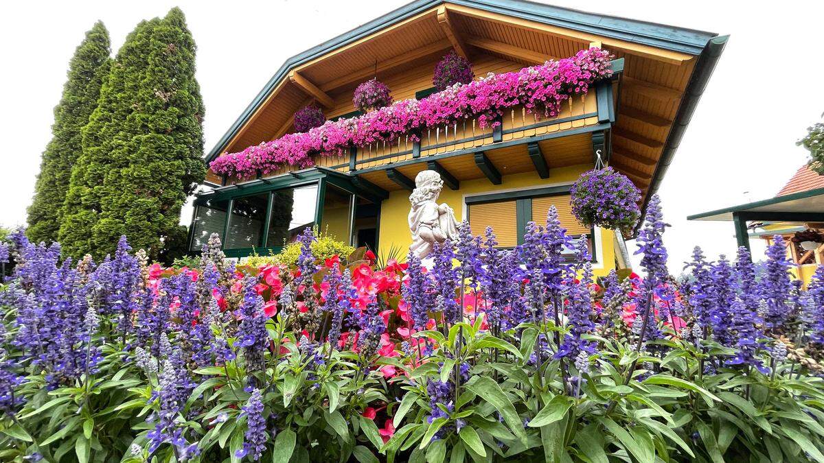 Die Blumenschmuck-Teilnehmer aus dem Vorjahr haben ihren grünen Daumen schon unter Beweis gestellt.