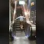 Ein Screenshot aus dem viral gegangenen Video