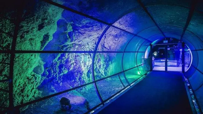 Keine Klimaanlage notwendig: Die Schloßbergstollen dienen als ideale Abkühlung an heißen Tagen