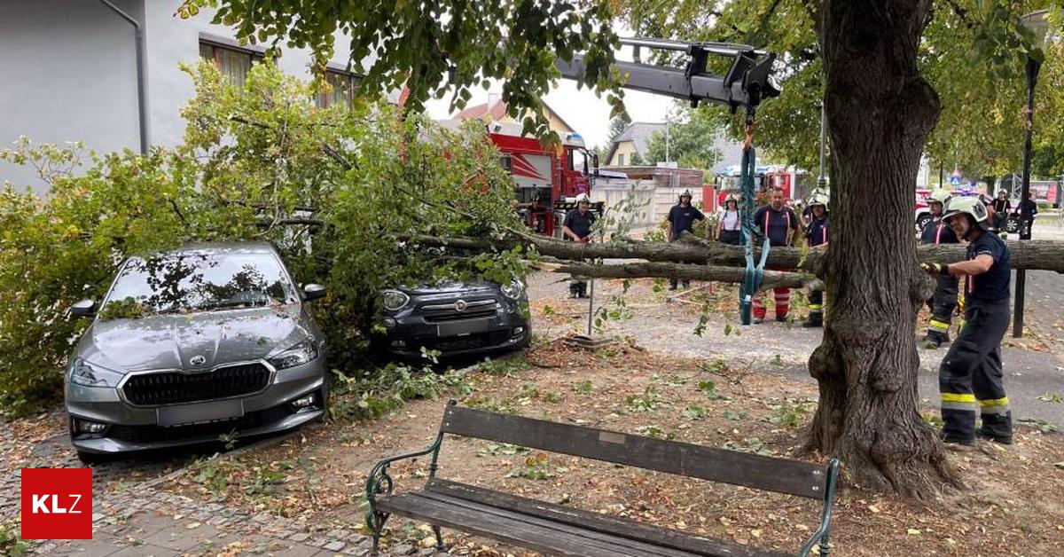 Bei-Sturm-Passantin-in-Leibnitz-nur-knapp-von-abbrechendem-Ast-verfehlt