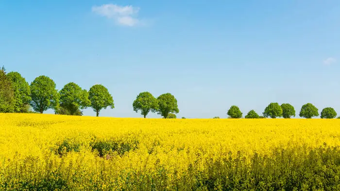 Die Natur braucht ihren Platz 