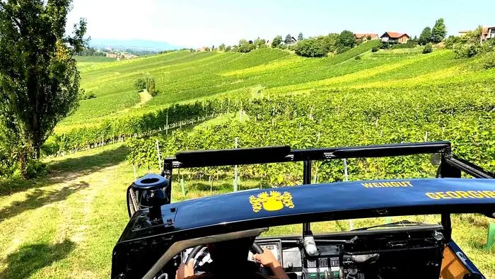 Die Rebsorte ist grundsätzlich ausschlaggebend für den Geschmack. Bei den Pinzgauer Touren lernt ihr einen Weingarten aus nächster Nähe kommen - der Spaß kommt dabei nicht zu kurz