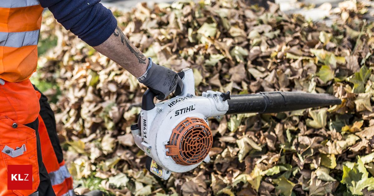 45+ Verbot Von Laubbläsern, Wann darf man mit dem laubbläser