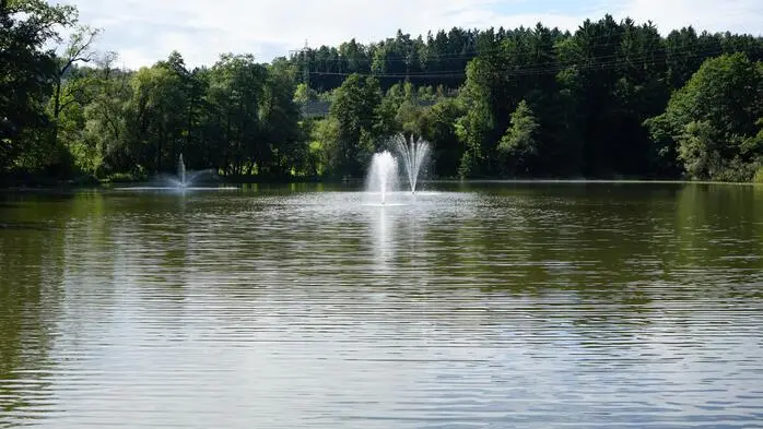 Im Schlosspark Greißenegg findet das Fest bei Schönwetter statt
