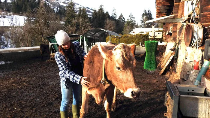 Kuh-Kuscheln vor dem Stall. Die grüne Bürste im Hintergrund muss sonst herhalten. Doch Streicheleinheiten lieben die tierischen Damen auch von Lena