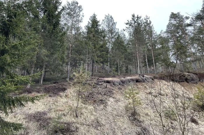 Aktuell sind viele Hänge noch braun und grau.