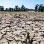 Extreme Dürre durch Klimawandel