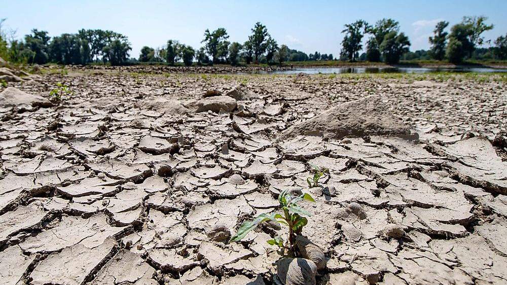 Extreme Dürre durch Klimawandel