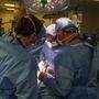 Die Chirurgen am Mass General während der Transplantation