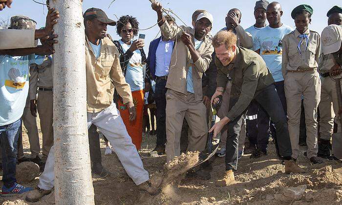 Prinz Harry in Botswana