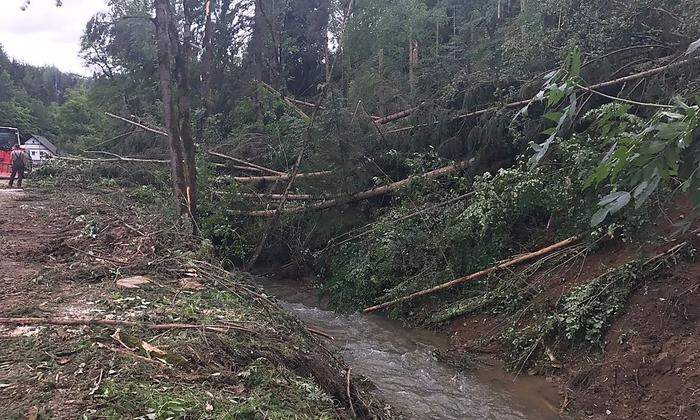 Auch am Donnerstag liegen im Katastrophengebiet Piberegg noch unzählige entwurzelte Bäume
