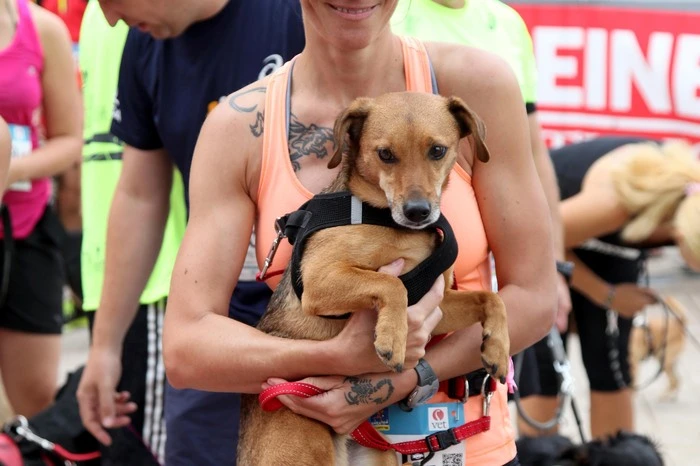 Klicken Sie sich durch die Bilder der sportlichen Zwei- und Vierbeiner.