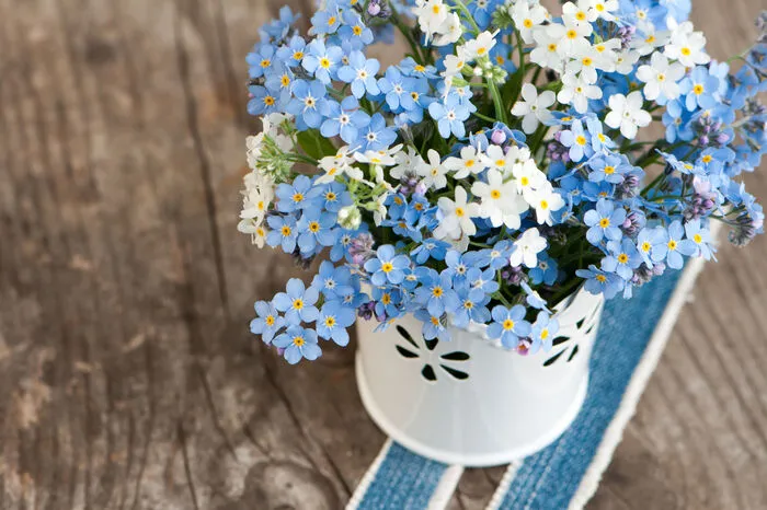 Vergissmeinnicht. Ein echter Evergreen, der auch heuer wieder im Kommen ist: Im Garten blühen sie bereits seit einiger Zeit und werden wohl als kleiner Blumenstrauß mit dabei sein.