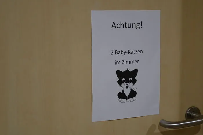 Auch Haustiere wohnen im Heim - derzeit Katzen, dazu Fische, im Freien Hasen und Ziegen.
