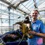 Peter Praschag mit einer Geierschildkröte, die am Bodensee ausgesetzt wurde und letztendlich bei &quot;Turtle Island&quot; landete