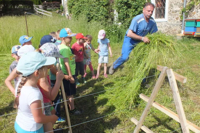 Mit Richard Rink haben die Kinder etwa gemähtes Gras zum Trocknen auf Schwedenreiter und Hiefler gehängt.