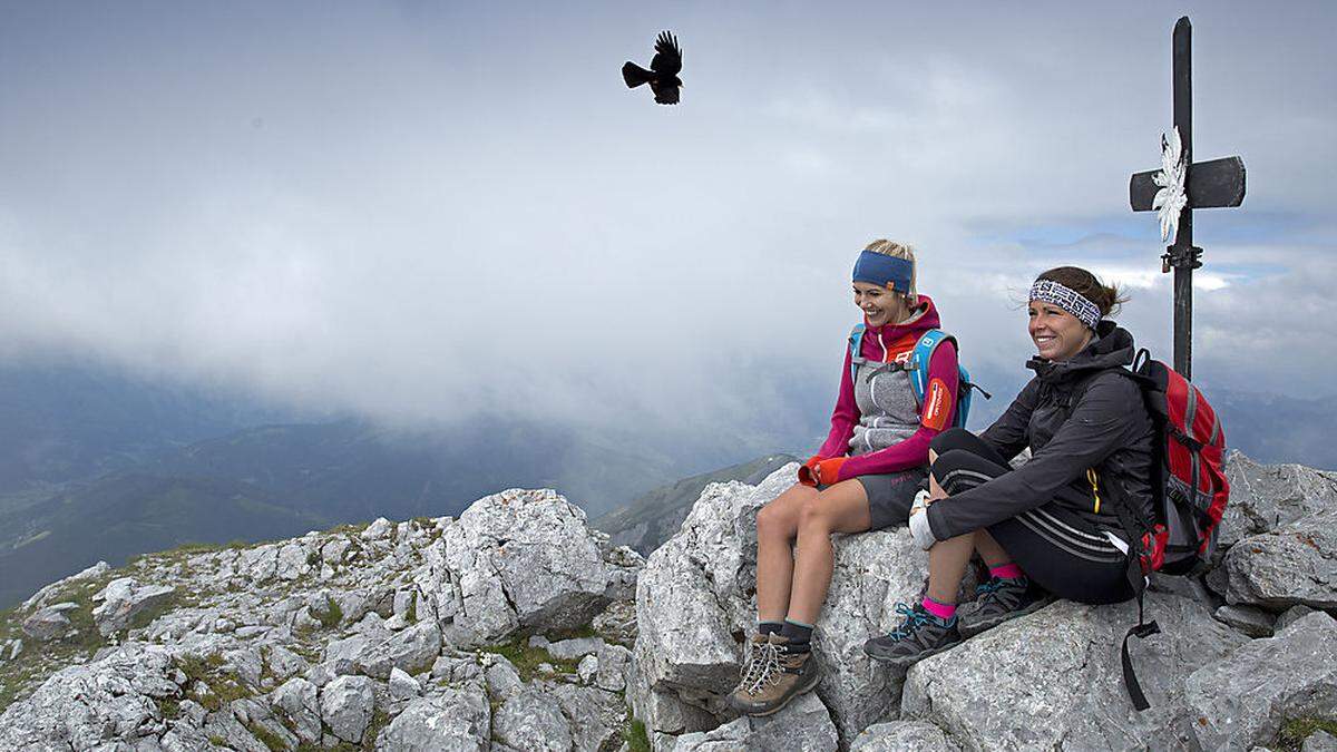 Genussvoller Gipfelrundblick auf den Nationalpark Gesäuse