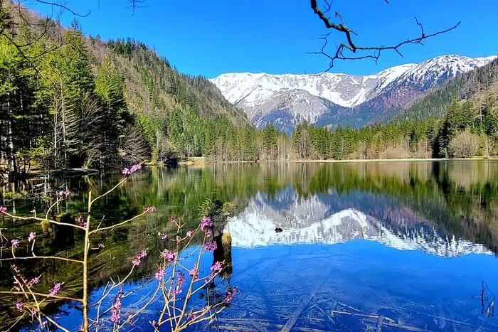 An diesem Anblick am Dürrsee bei Seewiesen konnte sich Leserreporterin Anna Reichenvater aus Gußwerk erfreuen