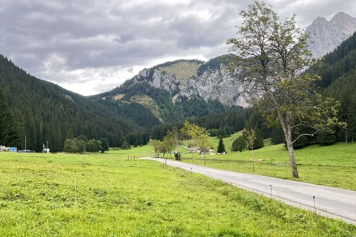 Laut Markus Pump, der die Wirtschaftswanderung mit Moderator Siegfried Nerath organisiert hat, sind bewirtschaftete Almen nicht nur für die Landwirtschaft und den Tourismus wichtig, sondern auch für die Biodiversität und Artenvielfalt. Das bestätigte auch Landesjägermeister-Stellvertreter und Landwirt Andreas Kühberger aus Mautern.