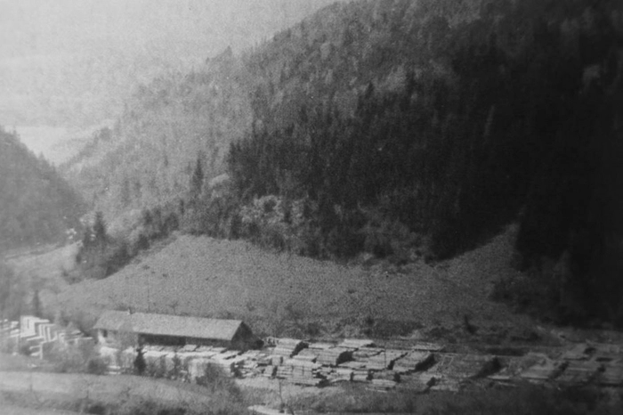 Die "Gruber Säge" im Jahr 1960
