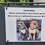 Das AmStaff-Paar der Tillmitscher Halter wird jetzt getrennt