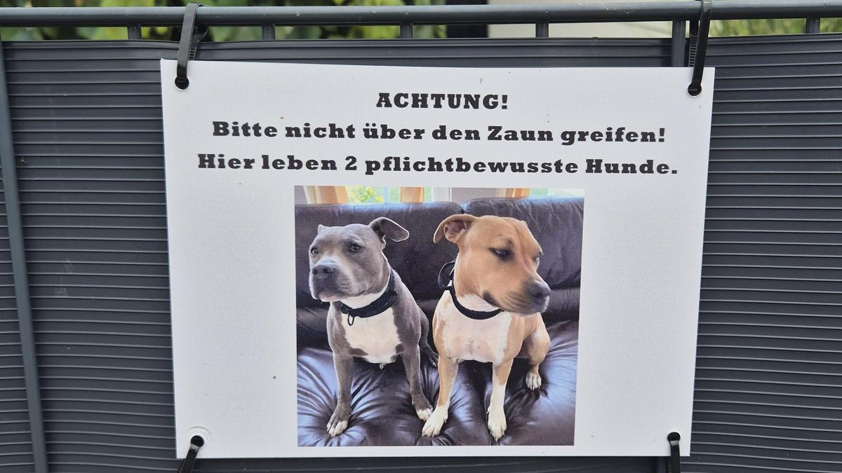 Das AmStaff-Paar der Tillmitscher Halter wird jetzt getrennt