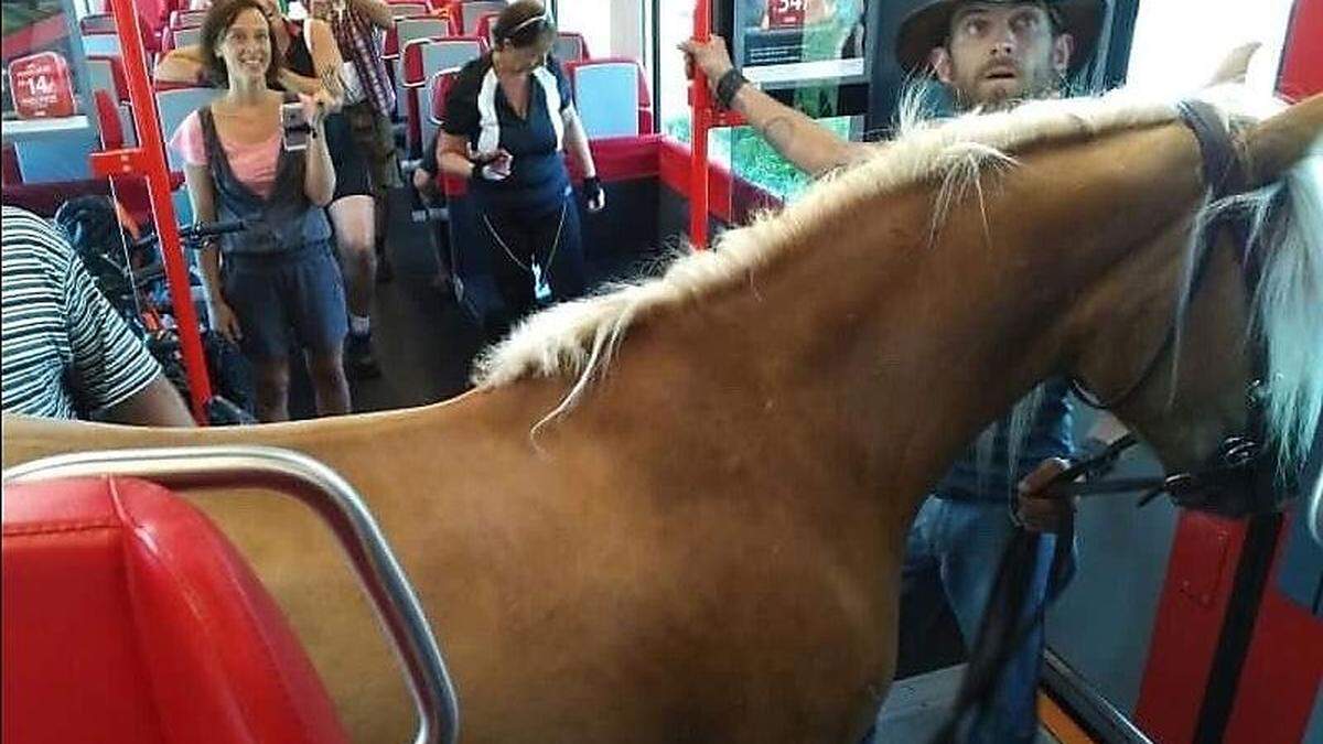 Fahrgäste fotografierten das Pferd im Zug
