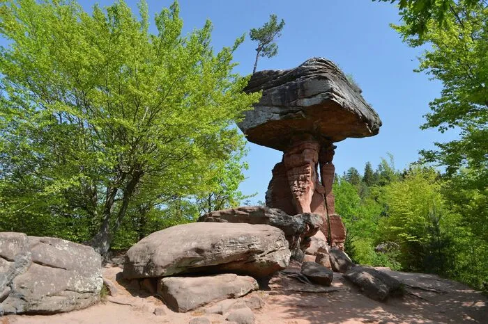 In Deutschland, genauer in Rheinland-Pfalz, erhebt sich dieses Steinungetüm, es ist 14 Meter hoch.
