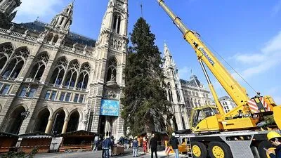 Aufstellung der Fichte am Rathausplatz