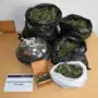 Getrocknetes Cannabis | Drogenfund in Wohnung in Hermagor