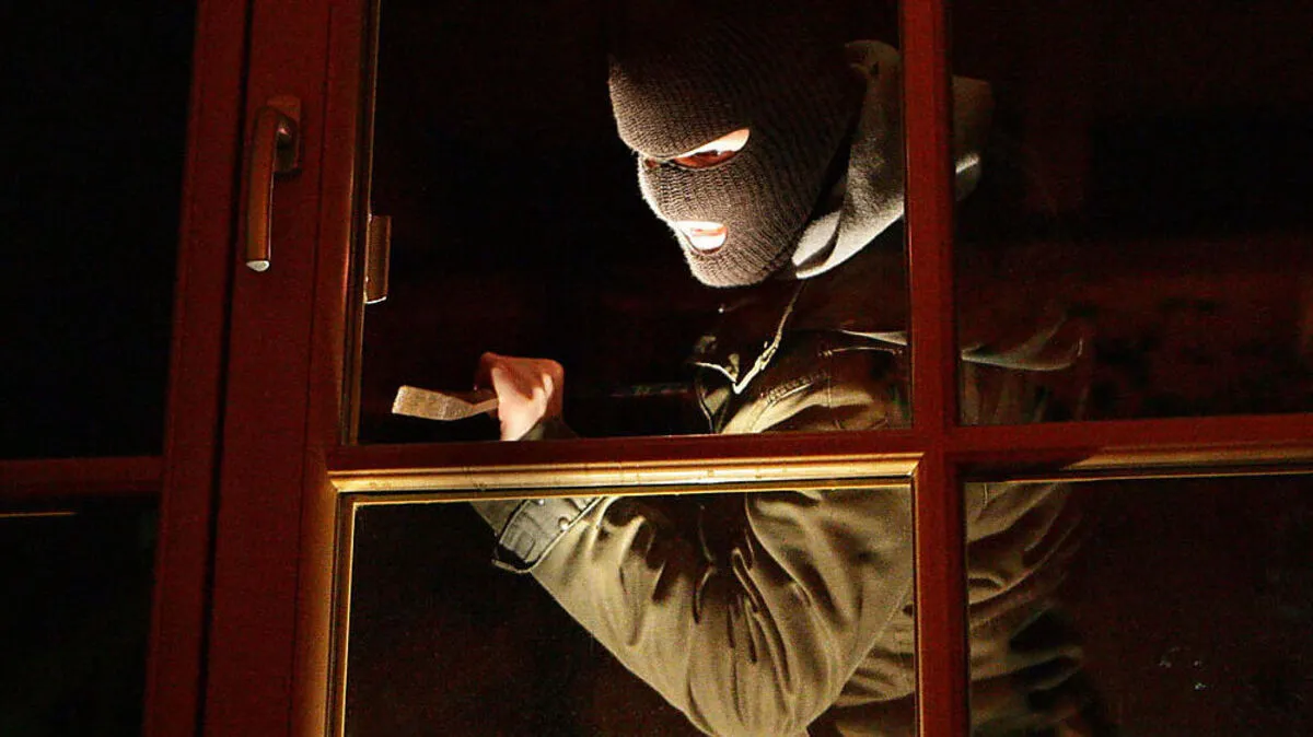 Die Einbrecher stahlen auch einen Fotoapparat (Sujetbild)