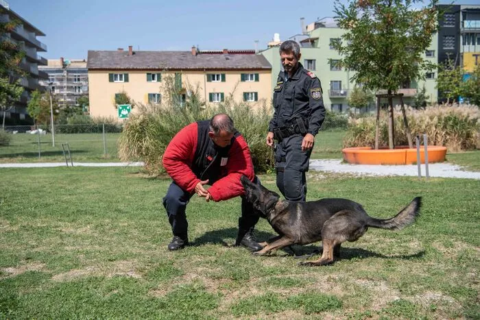 Die Polizeihunde stellten im Garten des Styria Media Centers unter Beweis, was sie alles draufhaben.