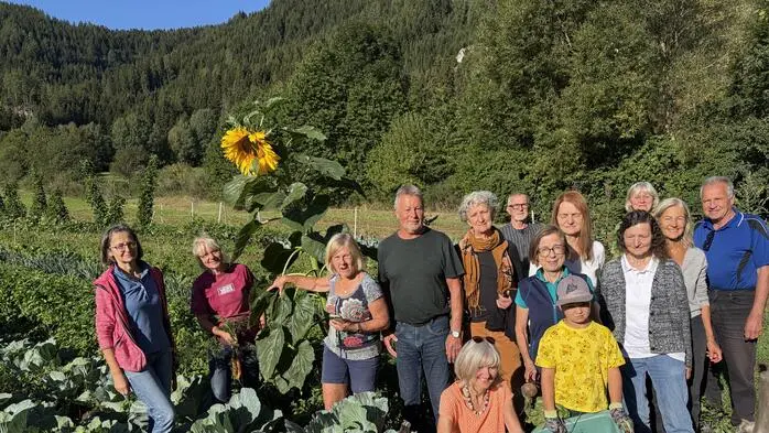 Beste Ernte trotz Hitze: Gelawi im Murtal