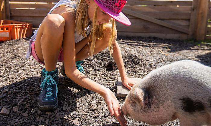 Einfach unvergesslich: Tierische Erlebnisse sind für jedes Kind ein Highlight 