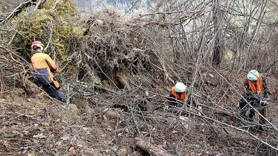 Vorerst 17 Millionen Euro sollen die Forstschäden betragen