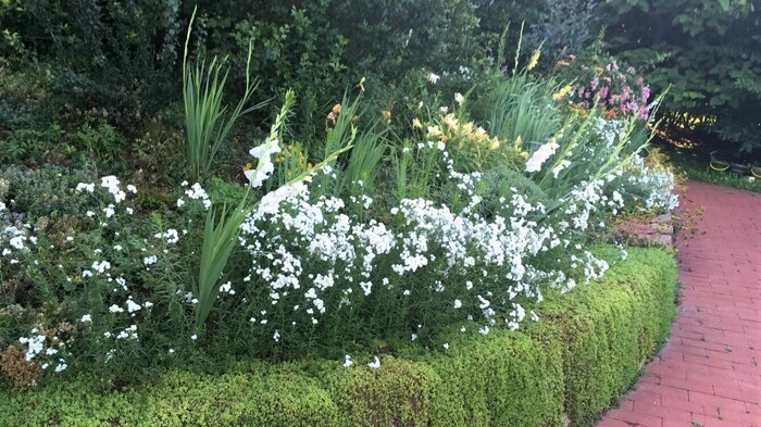 Dieses Staudenbeet ist das Prunkstück des Gartens von Gertrude Sterbenz in Moosing (Söding-St. Johann).