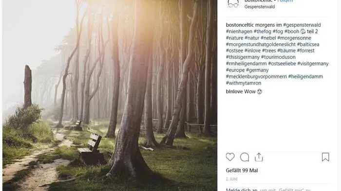 Der Teufelsberg in Berlin mit rund 81.200 Instagrambeiträgen bis zum Museum für Sepulturakultur in Kassel - travelcircus.de hat düstere orte zusammengesucht, die auf Instagram der Hit sind und sich gut für einen Ausflug an Nebeltagen eignen. Hier: der Gespensterwald in Nienhagen.