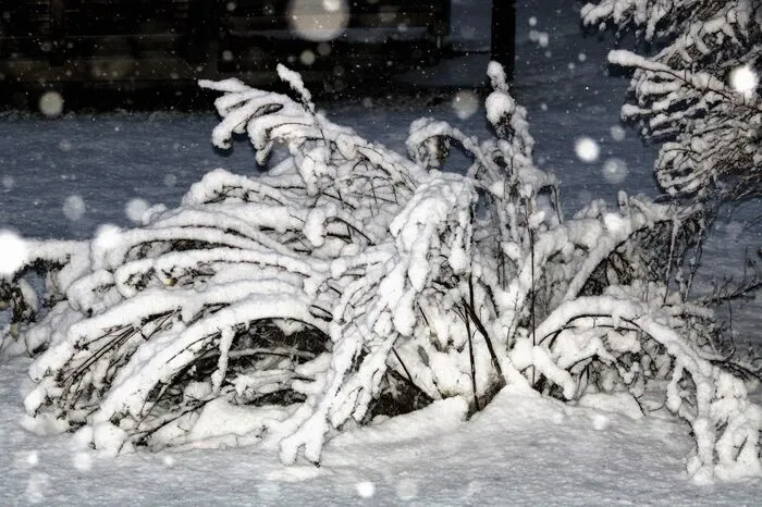 Den Winter in Großlobming zeigt Walter Hochfellner.