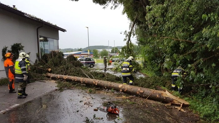 Der Sturm riss unzählige Bäume um - auch das Dach des Supermarktes in St. Margarethen blieb nicht verschont, während in der Festhalle nebenan das Pfarrfest lief. 