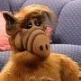 "Alf" soll zurückkommen