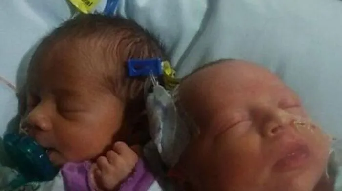 Von links: Darla and Dalanie wurden am 17. Juni geboren