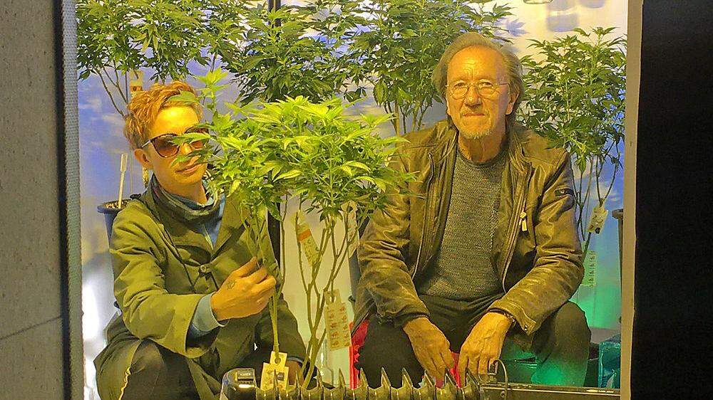 Die Künstler k.ada und Werner Schimpl mit den Hanfpflanzen ihres Projektes &quot;Transparadox&quot;