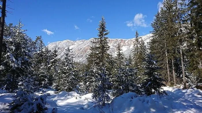 Heute geht sich ein kleiner frühwinterlicher Spaziergang aus, bevor der nächste Schnee kommt.