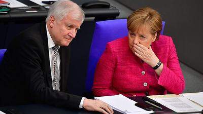 Horst Seehofer und Angela Merkel: Die Kanzlerin ist gegen die Idee des Innenministers
