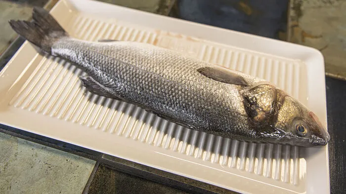 Wenn Sie bis dato noch nicht den ultimativen Tipp gefunden haben, um zu verhindern, dass Fisch am Rost anklebt, sollten Sie unbedingt diese Variante versuchen. Als ersten Schritt bitte den bereits ausgenommenen Fisch trocken tupfen.